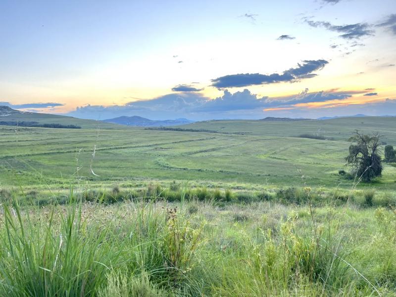 0 Bedroom Property for Sale in Fouriesburg Free State